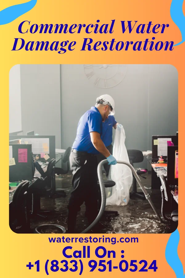 Commercial Water Damage Restoration in Redington Beach, FL