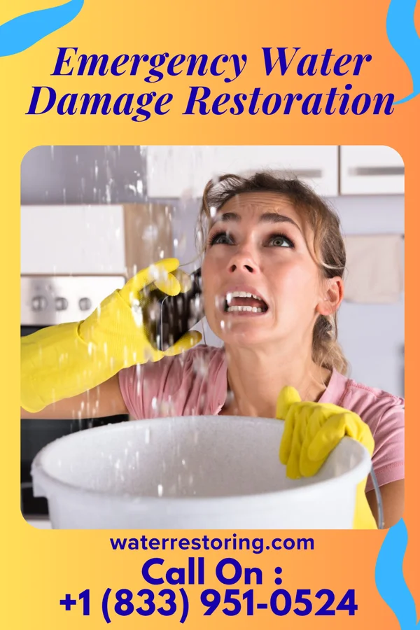 Emergency Water Damage Restoration in Redington Beach, FL