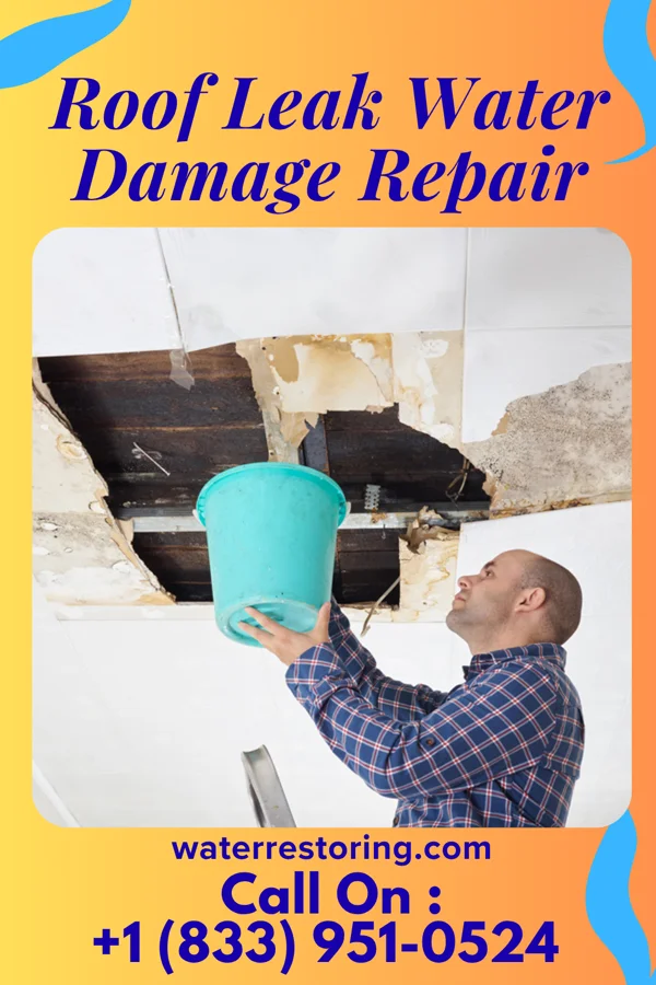 Roof Leak Water Damage Repair in Redington Beach, FL
