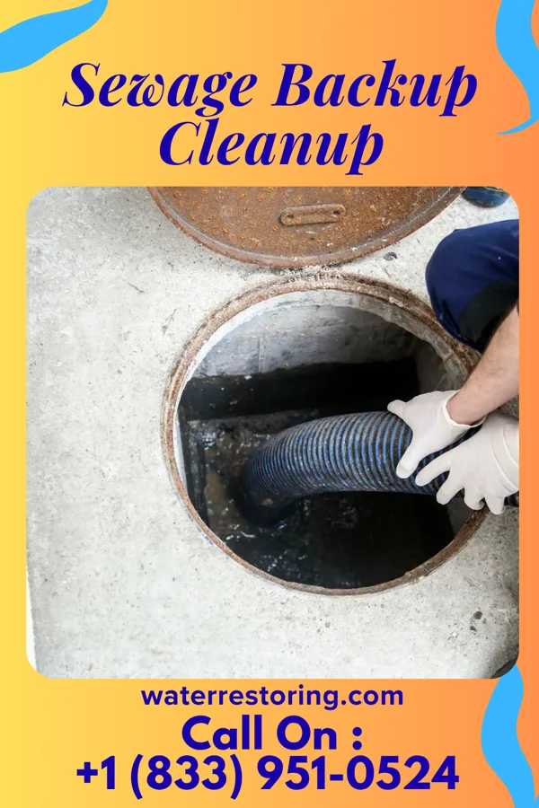Sewage Backup Cleanup in Redington Beach, FL